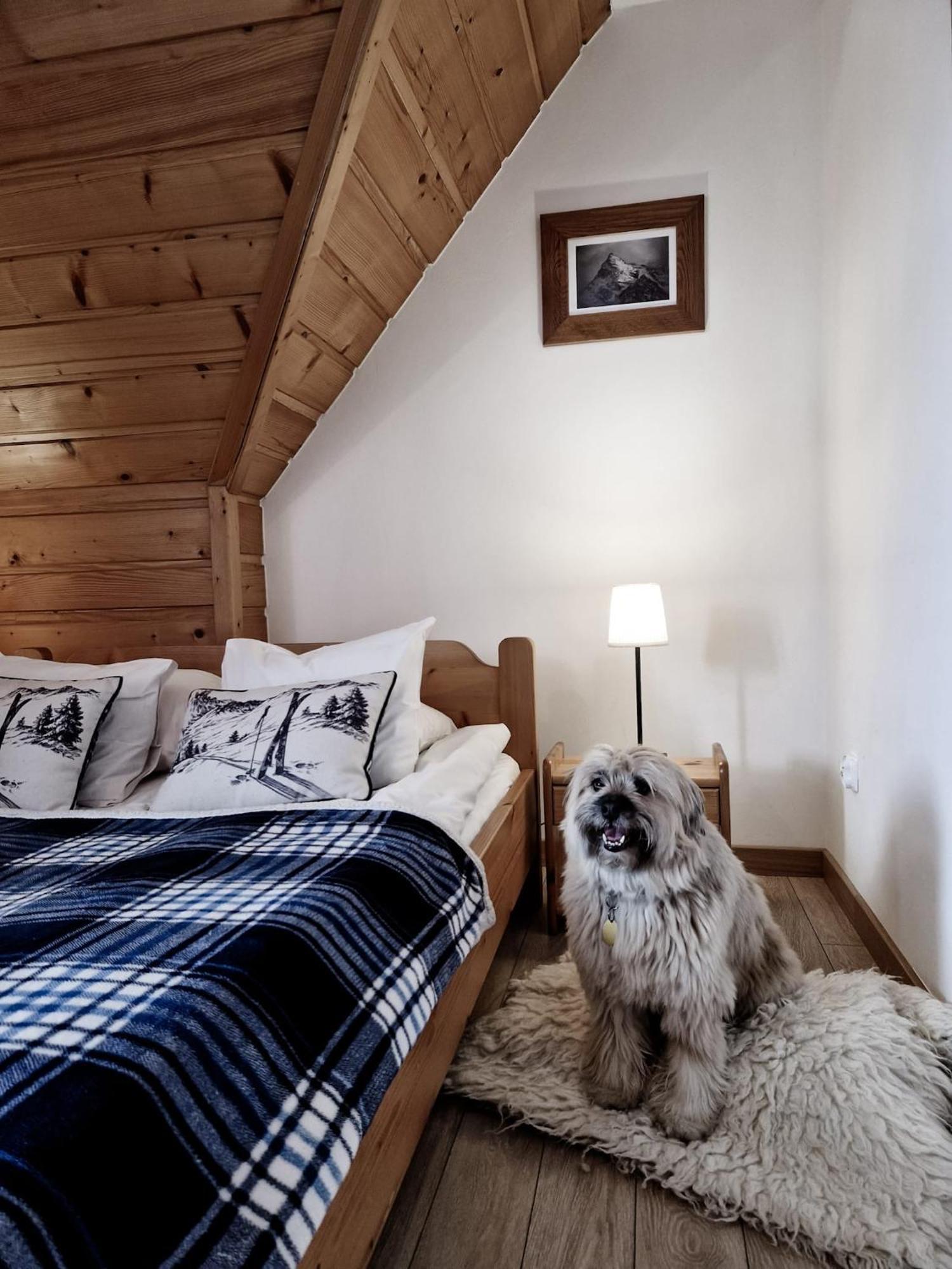 Zakopane Stop Bed and Breakfast Εξωτερικό φωτογραφία