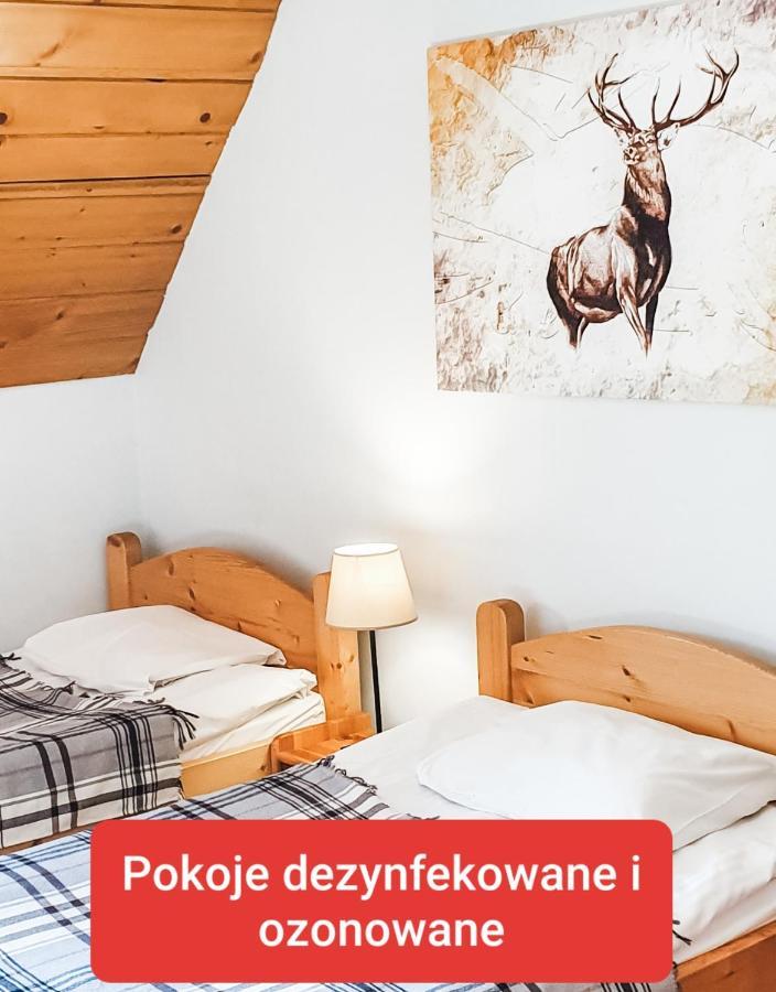 Zakopane Stop Bed and Breakfast Εξωτερικό φωτογραφία